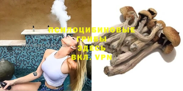 прущие грибы Покачи